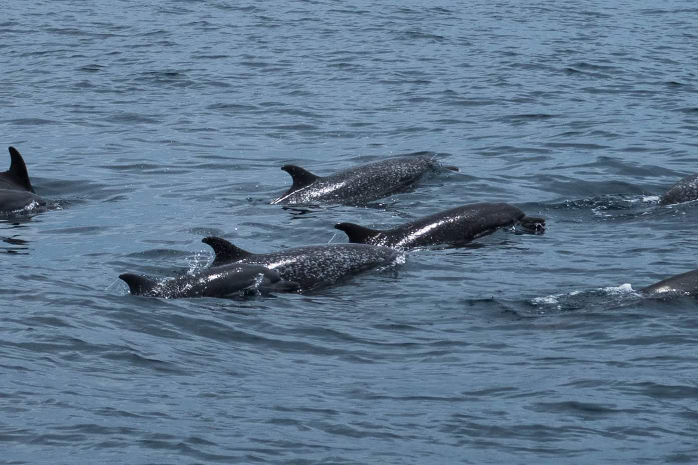 FB_IMG_1497572712075