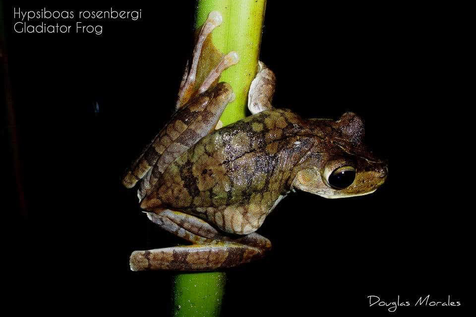 FB_IMG_1528670568844