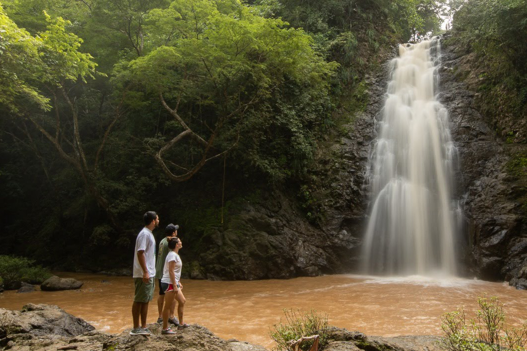 a0c289ae-8768-468b-a030-c14a10ef3e79