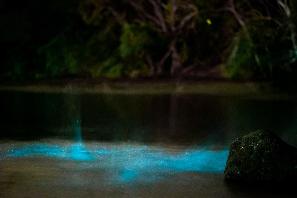 photo-5-20-19-8-43-12-pm-4