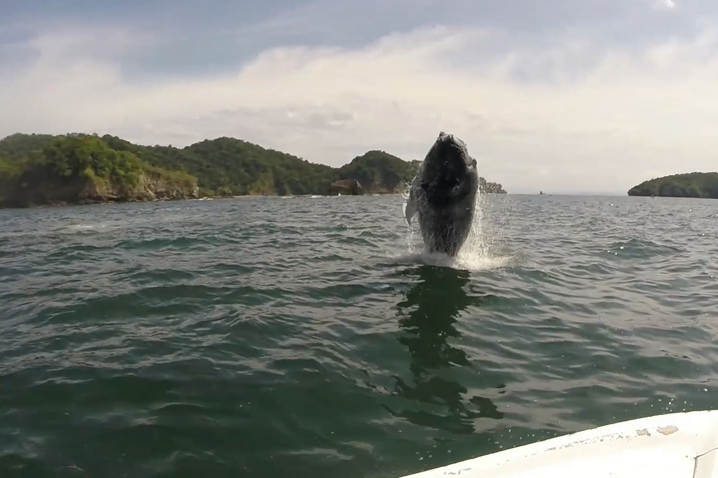 secuencia-02.00_00_40_14.imagen-fija002-2