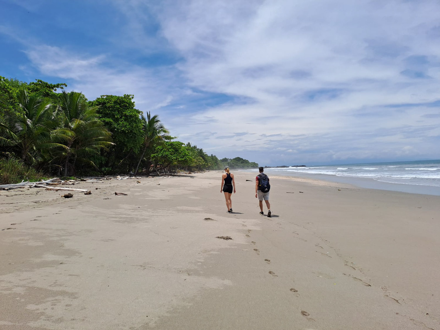 06a0c416-e70d-4a0f-aadd-d8c343c5d203