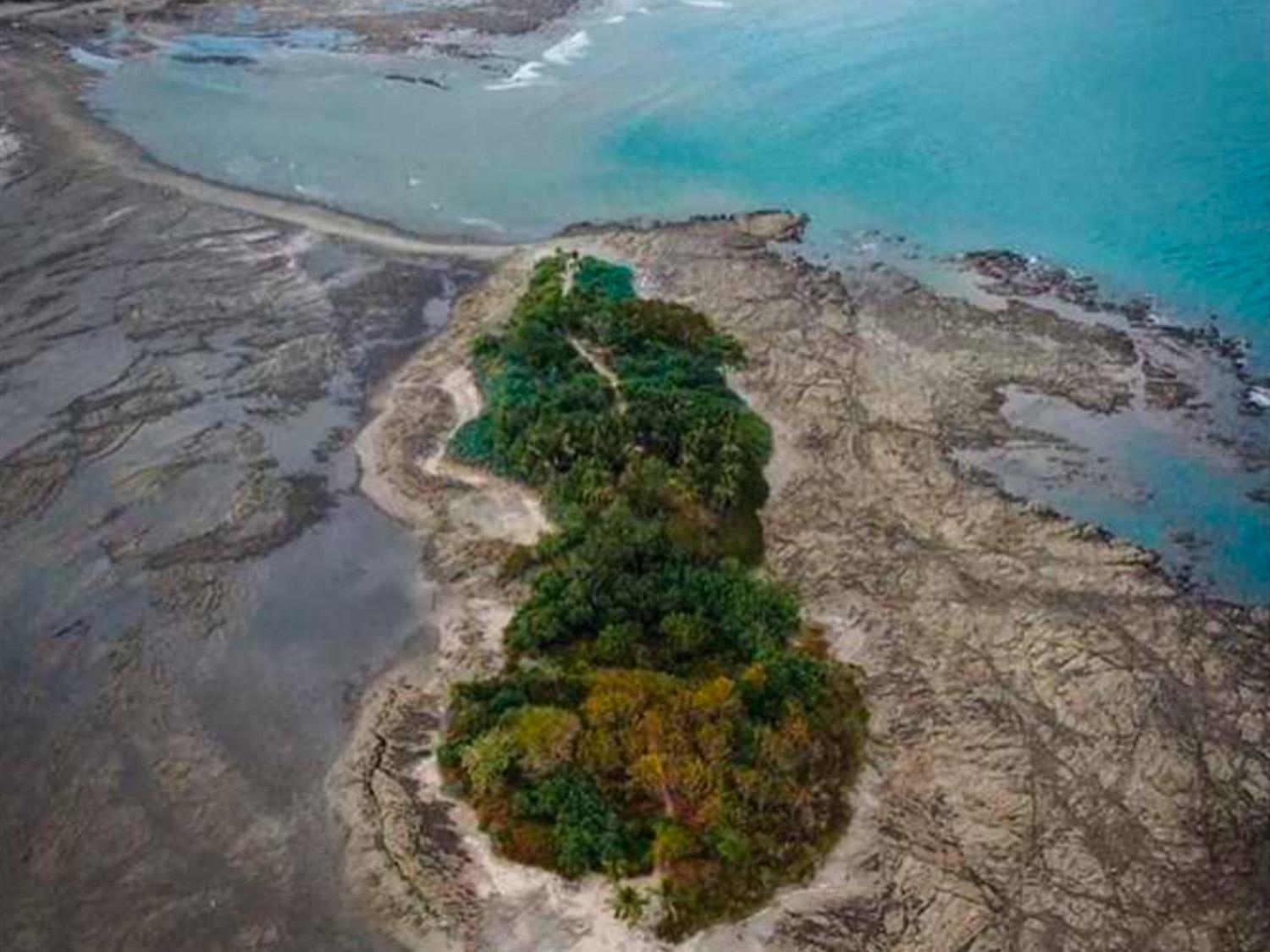 Screen Shot 2023-11-28 at 5.10.47 PM